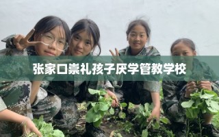 张家口崇礼孩子厌学管教学校