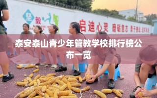 泰安泰山青少年管教学校排行榜公布一览