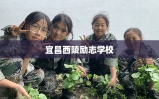 宜昌西陵励志学校