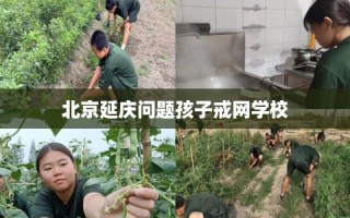 北京延庆问题孩子戒网学校