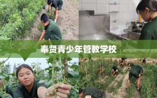 奉贤青少年管教学校