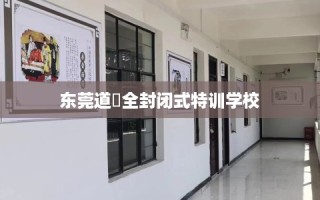 东莞道滘全封闭式特训学校