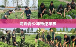 菏泽青少年叛逆学校
