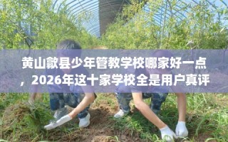 黄山歙县少年管教学校哪家好一点，2026年这十家学校全是用户真评!