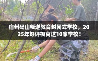 宿州砀山叛逆教育封闭式学校，2025年好评极高这10家学校！