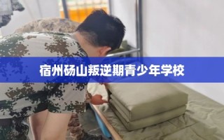 宿州砀山叛逆期青少年学校