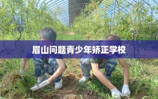 眉山问题青少年矫正学校