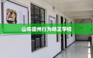 山东德州行为矫正学校