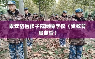 泰安岱岳孩子戒网瘾学校（受教育局监管）