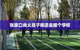 张家口尚义孩子叛逆去哪个学校