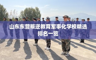 山东东营叛逆教育军事化学校精选排名一览
