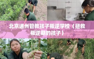 北京通州管教孩子叛逆学校（拯救叛逆期的孩子）