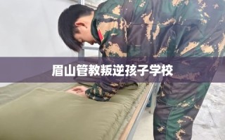眉山管教叛逆孩子学校
