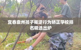 宜春袁州孩子叛逆行为矫正学校排名精选出炉
