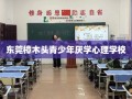 东莞樟木头青少年厌学心理学校