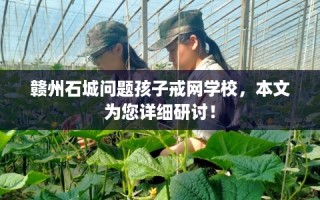 赣州石城问题孩子戒网学校，本文为您详细研讨！