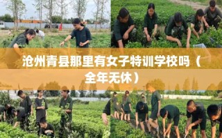 沧州青县那里有女子特训学校吗（全年无休）