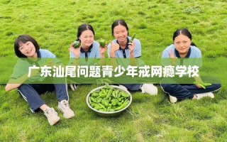 广东汕尾问题青少年戒网瘾学校