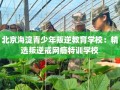 北京海淀青少年叛逆教育学校：精选叛逆戒网瘾特训学校