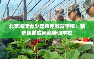 北京海淀青少年叛逆教育学校：精选叛逆戒网瘾特训学校