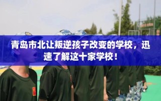 青岛市北让叛逆孩子改变的学校，迅速了解这十家学校！