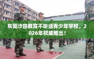 东莞沙田教育不听话青少年学校，2026年权威推出！