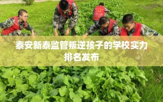 泰安新泰监管叛逆孩子的学校实力排名发布