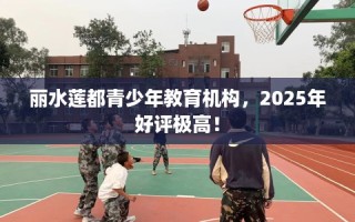 丽水莲都青少年教育机构，2025年好评极高！