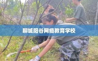 聊城阳谷网瘾教育学校