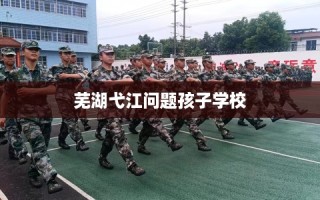 芜湖弋江问题孩子学校