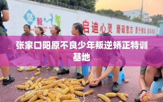 张家口阳原不良少年叛逆矫正特训基地