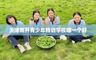 天津南开青少年特训学校哪一个好
