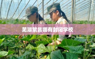 芜湖繁昌哪有封闭学校