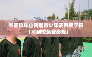 景德镇珠山问题青少年戒网瘾学校（可到校免费参观）