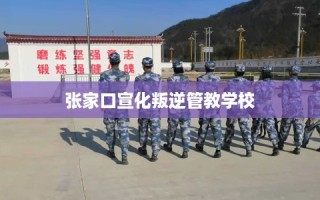 张家口宣化叛逆管教学校