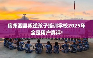 宿州泗县叛逆孩子培训学校2025年全是用户真评!