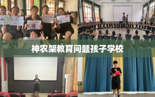 神农架教育问题孩子学校