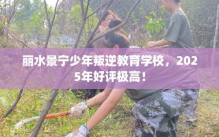 丽水景宁少年叛逆教育学校，2025年好评极高！