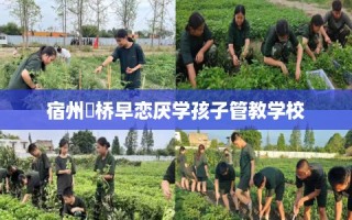 宿州埇桥早恋厌学孩子管教学校