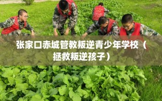 张家口赤城管教叛逆青少年学校（拯救叛逆孩子）