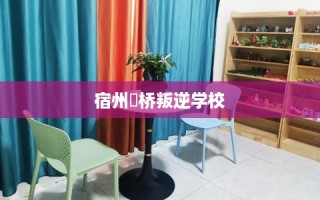 宿州埇桥叛逆学校