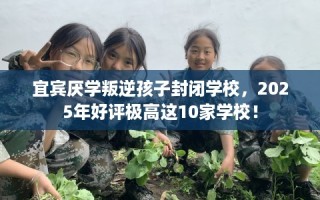 宜宾厌学叛逆孩子封闭学校，2025年好评极高这10家学校！