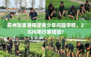 苏州张家港叛逆青少年问题学校，2026年行家经验！