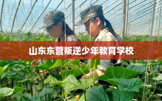 山东东营叛逆少年教育学校