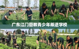广东江门管教青少年叛逆学校