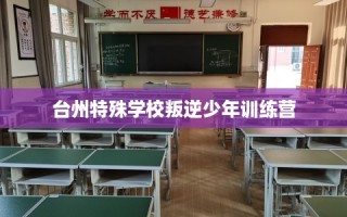 台州特殊学校叛逆少年训练营