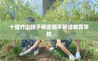 十堰竹山孩子叛逆期不听话教育学校
