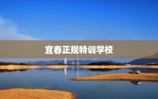 宜春正规特训学校