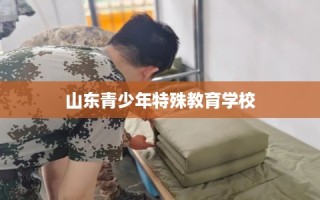 山东青少年特殊教育学校