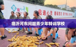 临沂河东问题青少年特训学校